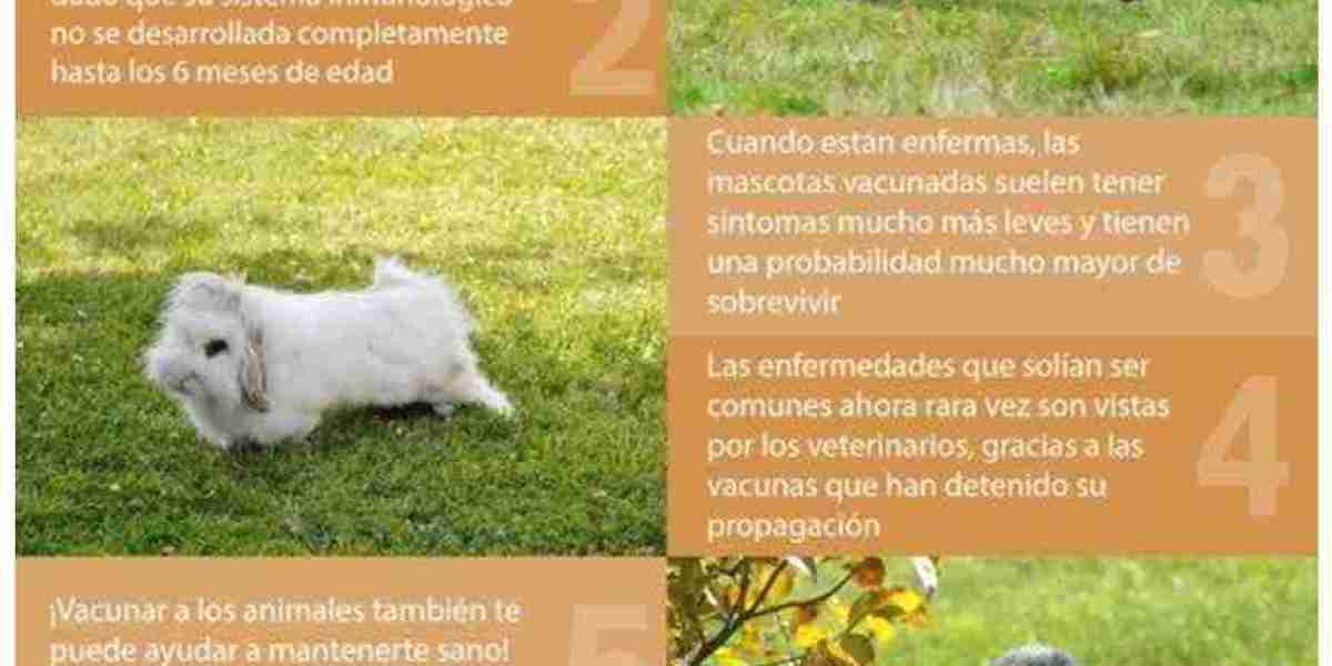 La importancia de vacunar a nuestras mascotas