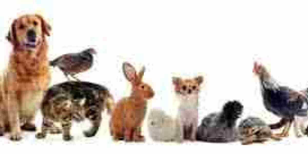 Sabes cuales son algunos beneficios de tener mascotas en casa?